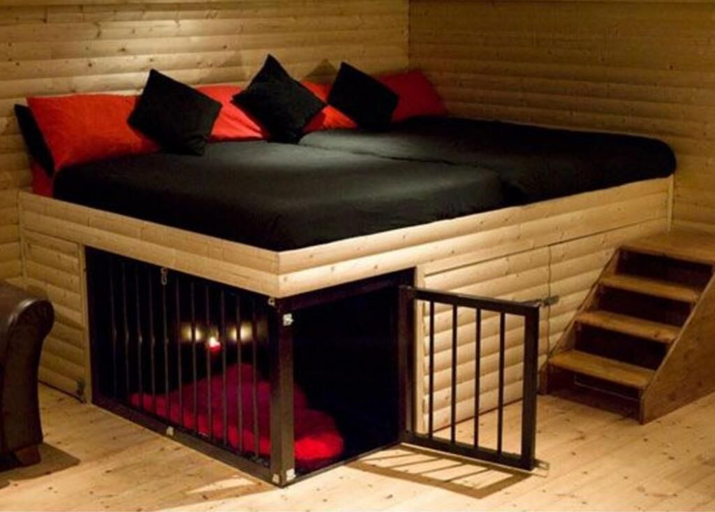 Petplay Inspiration