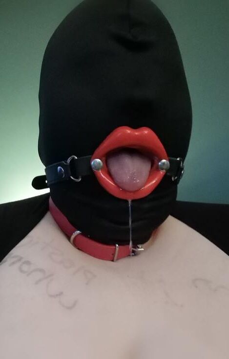 Today's Fuck Pig