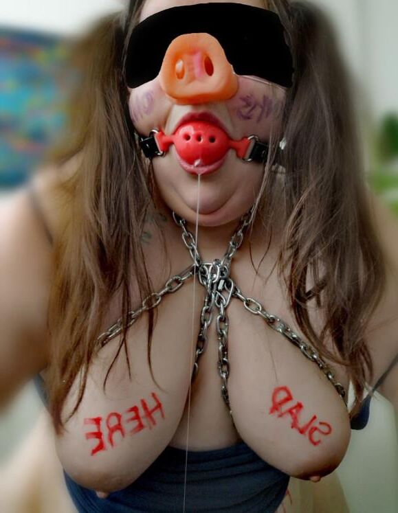 Today's Fuck Pig