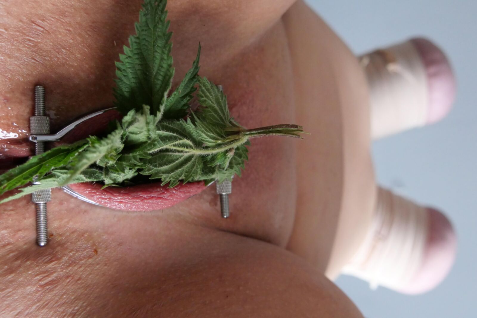 Fette Dumme Sklavensau Sessions Bilder